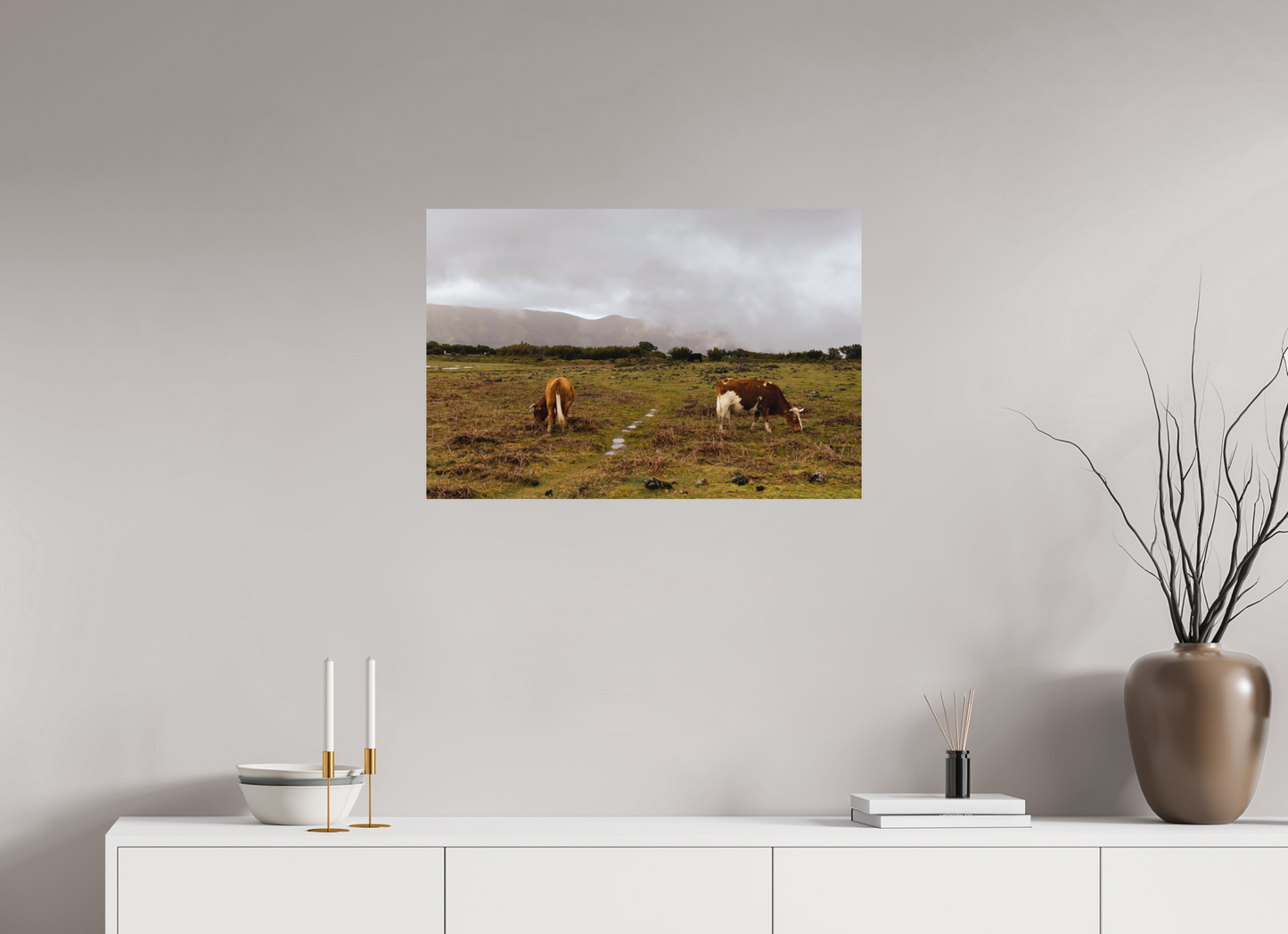 "Cows in Madeira" - Fine art photography print