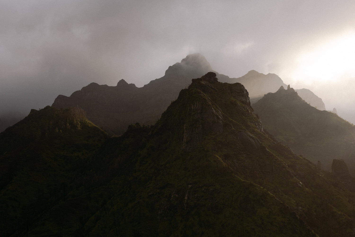 Madeira Collection