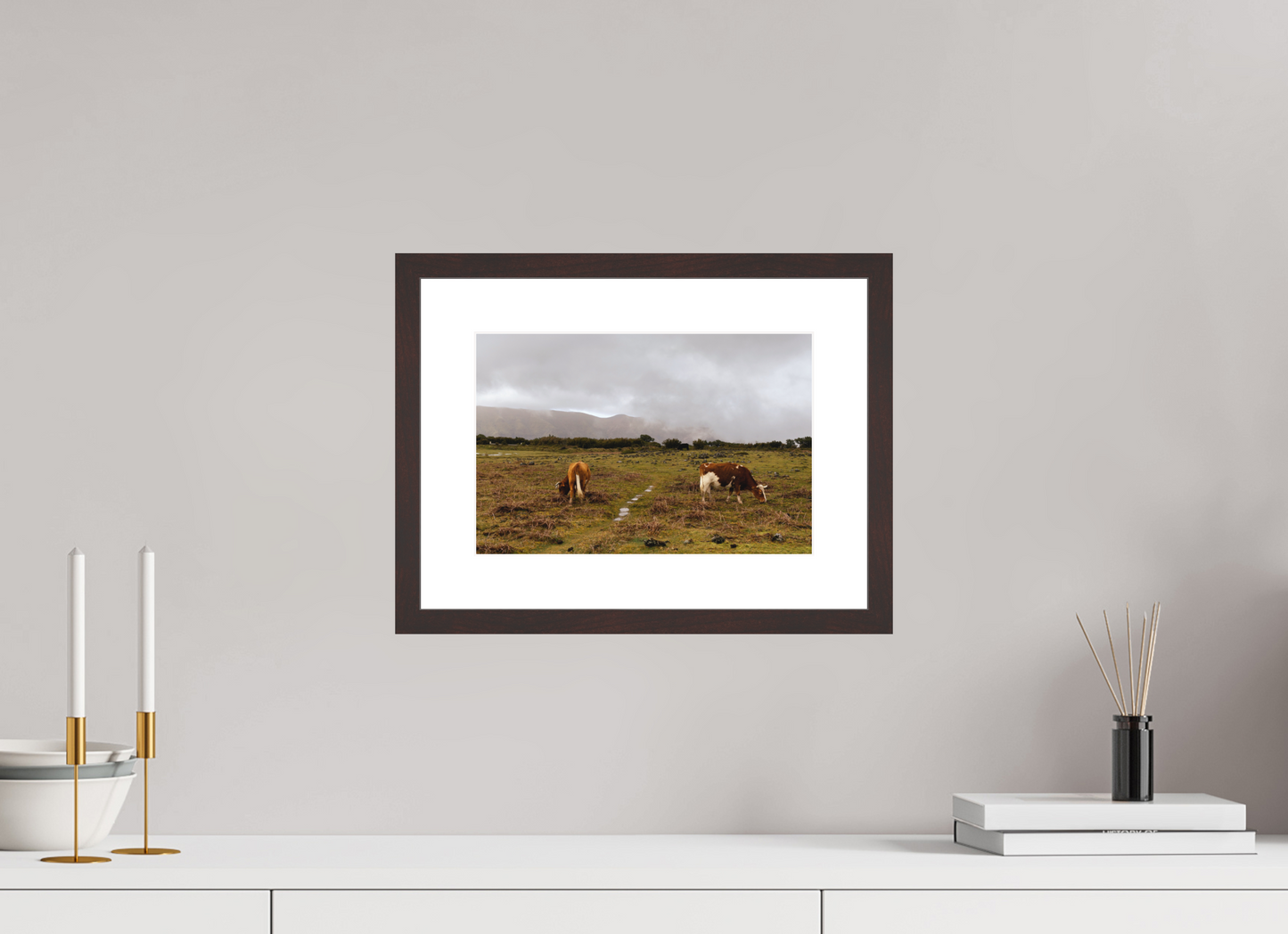 "Cows in Madeira" - Fine art photography print