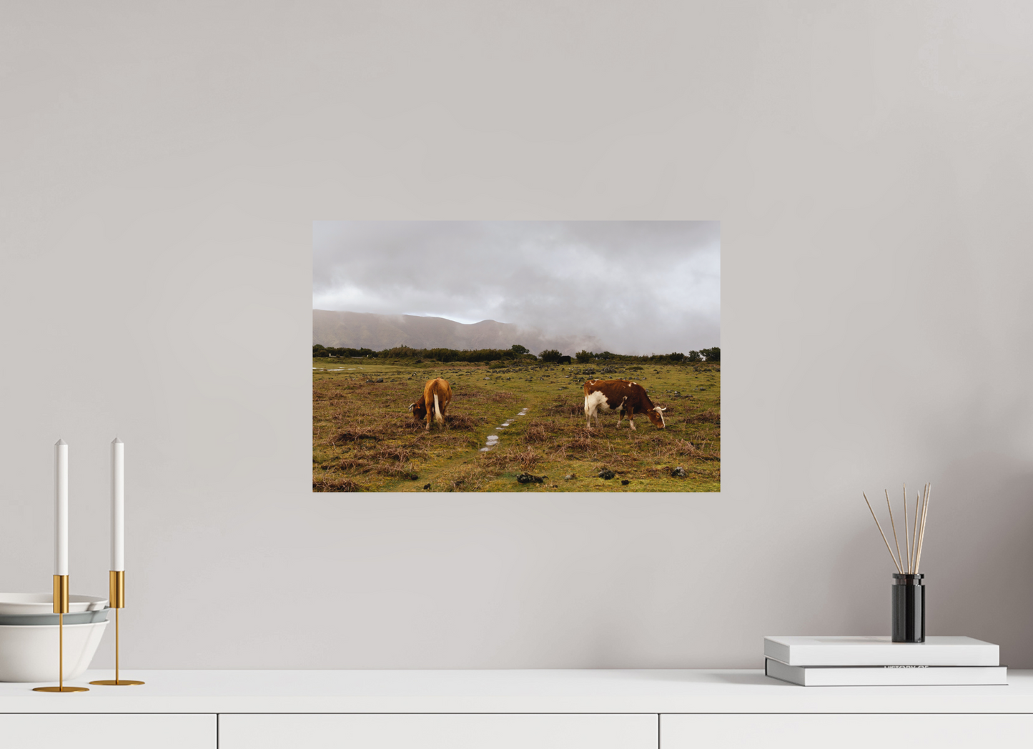 "Cows in Madeira" - Fine art photography print