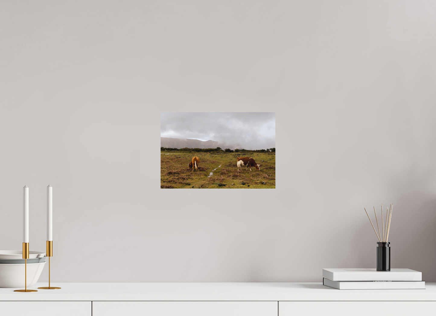 "Cows in Madeira" - Fine art photography print