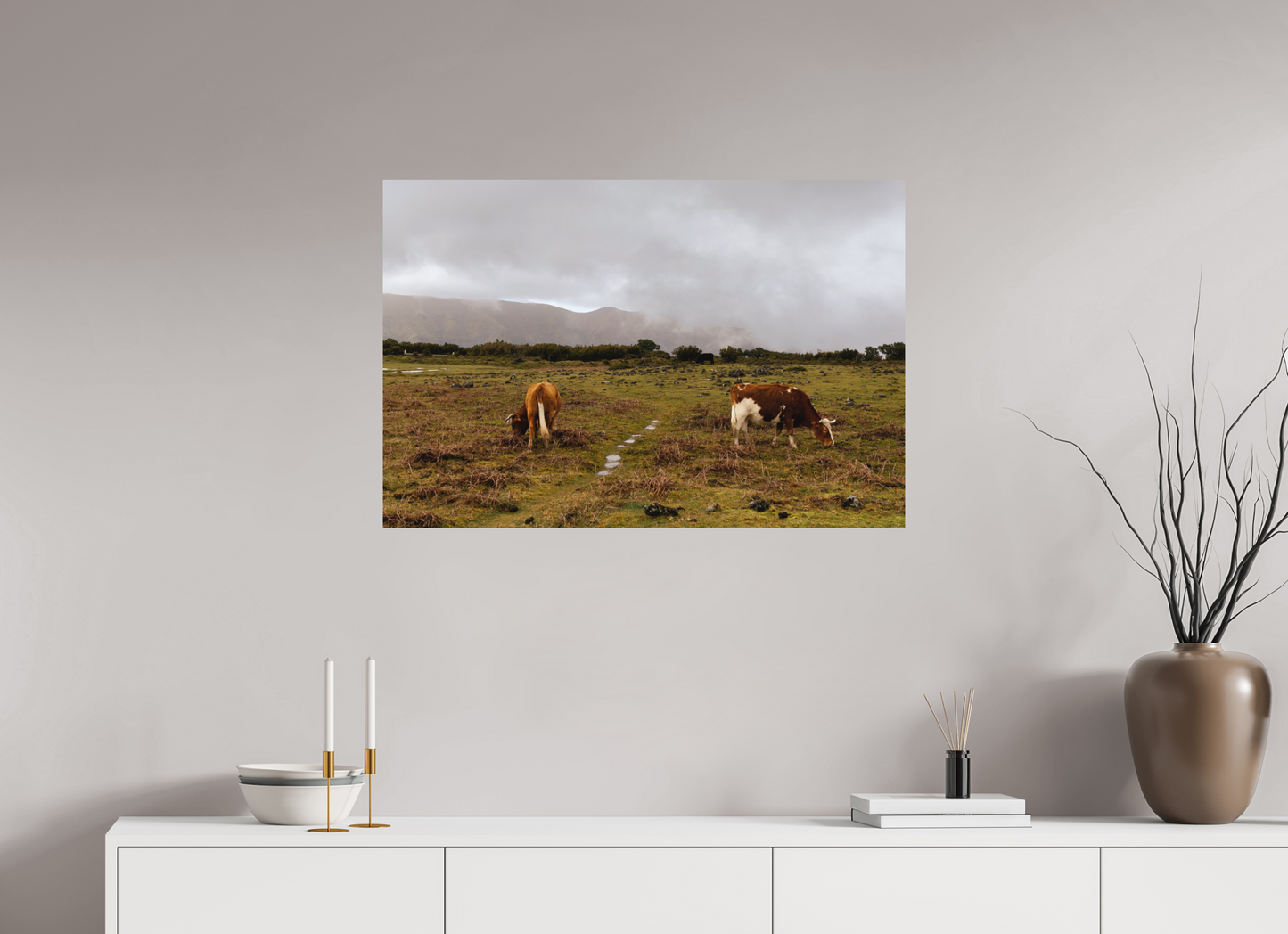 "Cows in Madeira" - Fine art photography print